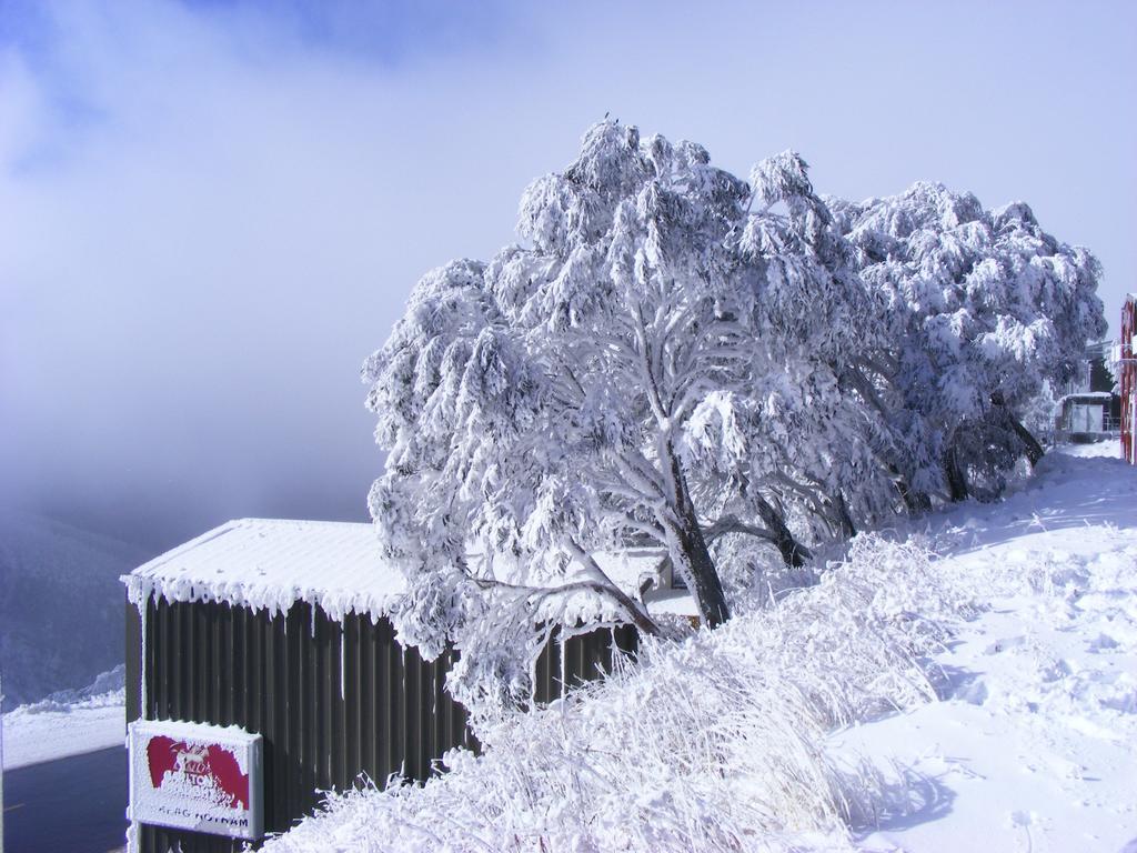 Villa Arlberg Hotham Mount Hotham Esterno foto
